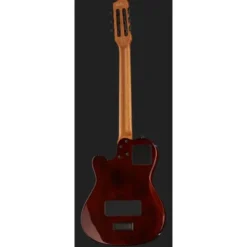 Godin Multiac Mundial Kanyon Burst