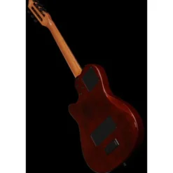 Godin Multiac Mundial Kanyon Burst