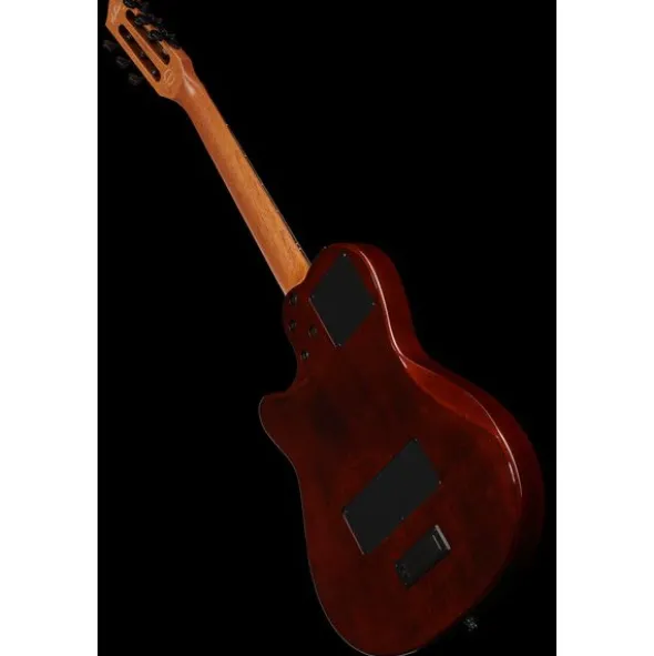 Godin Multiac Mundial Kanyon Burst