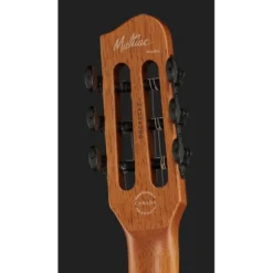 Godin Multiac Mundial Kanyon Burst