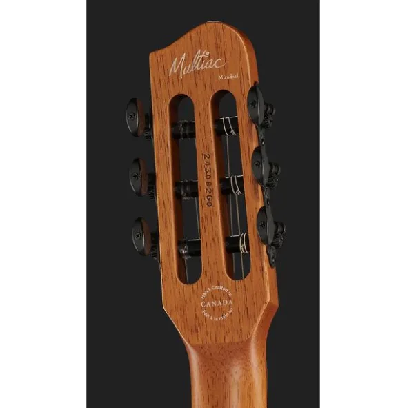 Godin Multiac Mundial Kanyon Burst