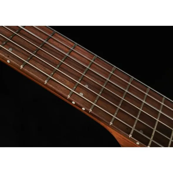 Godin Multiac Mundial Kanyon Burst