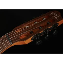 Godin Multiac Mundial Kanyon Burst