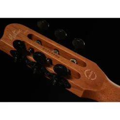 Godin Multiac Mundial Kanyon Burst