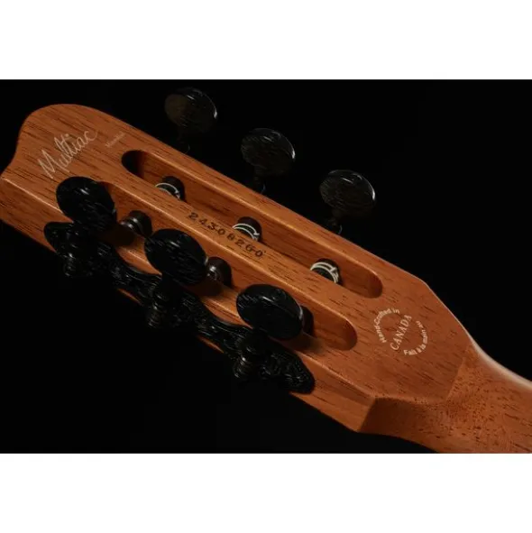 Godin Multiac Mundial Kanyon Burst