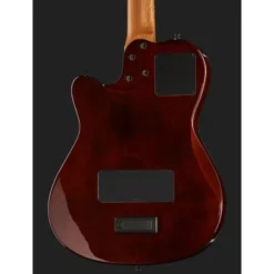 Godin Multiac Mundial Kanyon Burst
