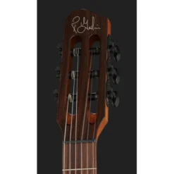 Godin Multiac Mundial Kanyon Burst