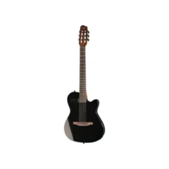 Godin Multiac Mundial Onyx B B-Stock