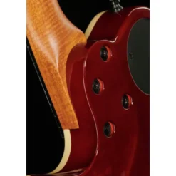 Godin xtSA Koa