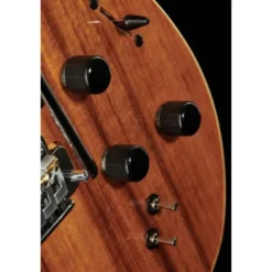 Godin xtSA Koa
