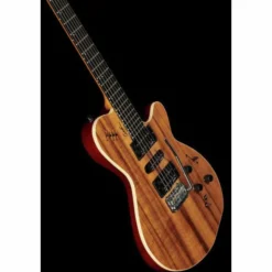 Godin xtSA Koa