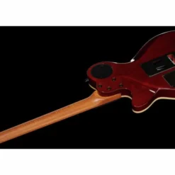 Godin xtSA Koa