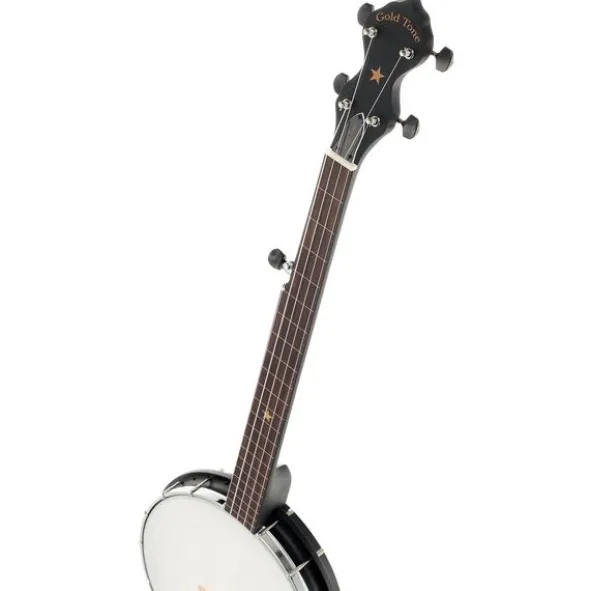Gold Tone AC-1FL Open Back Fretless