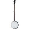 Gold Tone AC-1LN Openback Long Neck 5Str