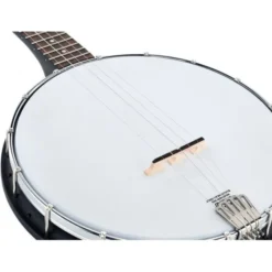 Gold Tone AC-1LN Openback Long Neck 5Str