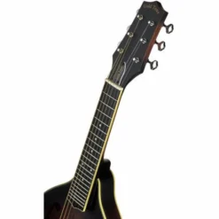 Gold Tone A-6 Mando Guitar TS