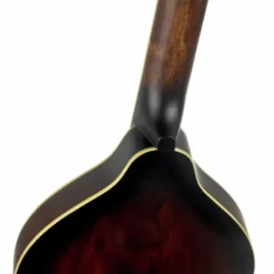 Gold Tone A-6 Mando Guitar TS