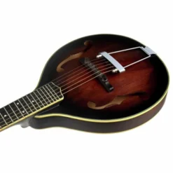 Gold Tone A-6 Mando Guitar TS