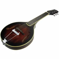Gold Tone A-6 Mando Guitar TS