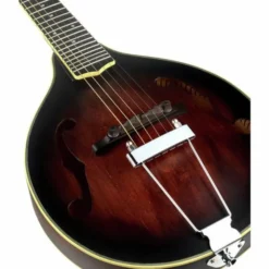 Gold Tone A-6 Mando Guitar TS