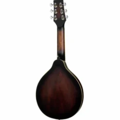 Gold Tone A-6 Mando Guitar TS
