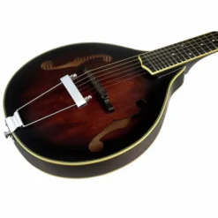 Gold Tone A-6 Mando Guitar TS