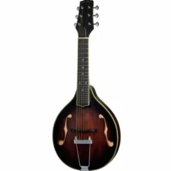 Gold Tone A-6 Mando Guitar TS