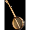 Gold Tone BC-350 Bob Carlin Banjo