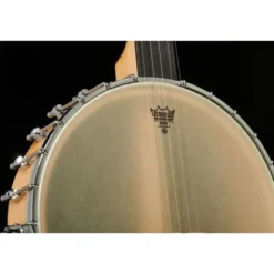 Gold Tone BC-350 Bob Carlin Banjo