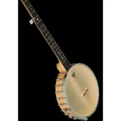 Gold Tone BC-350 Bob Carlin Banjo