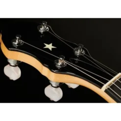 Gold Tone BC-350 Bob Carlin Banjo