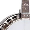 Gold Tone BG-150F Banjo