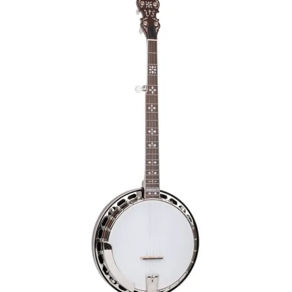 Gold Tone BG-150F Banjo