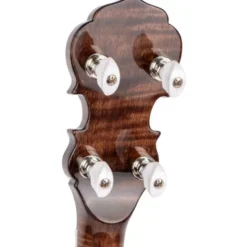 Gold Tone BG-150F Banjo