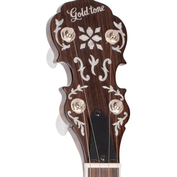 Gold Tone BG-150F Banjo