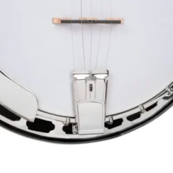 Gold Tone BG-150F Banjo