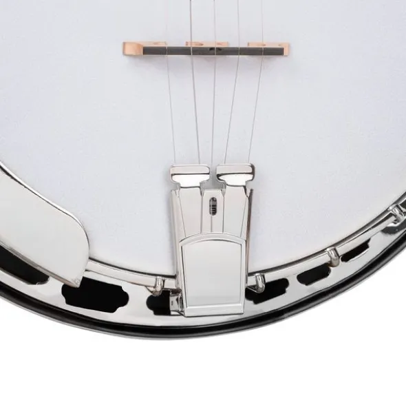 Gold Tone BG-150F Banjo