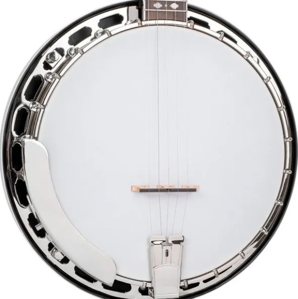 Gold Tone BG-150F Banjo