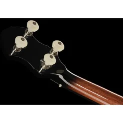 Gold Tone CB-100 Clawhammer Banjo