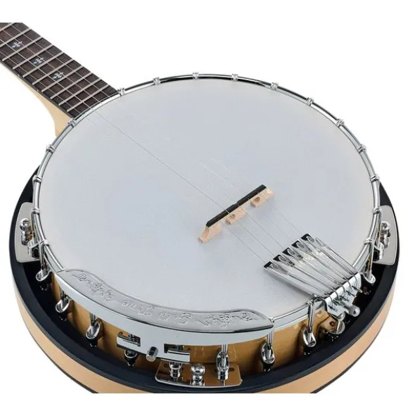 Gold Tone CC-100R 5 String Banjo