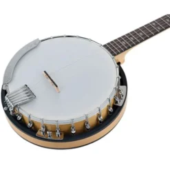 Gold Tone CC-100R 5 String Banjo