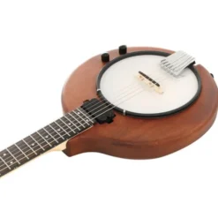 Gold Tone EB-6 E-Banjo w/Bag