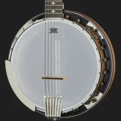 Gold Tone GT-500 6 String Banjitar
