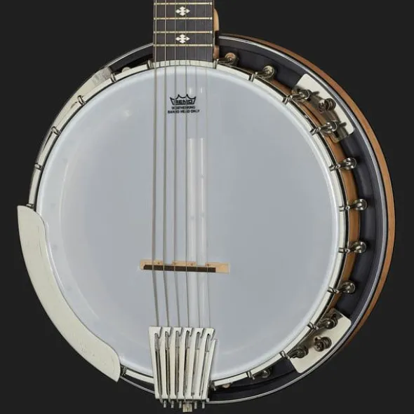 Gold Tone GT-500 6 String Banjitar