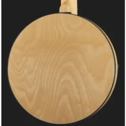 Gold Tone GT-500 6 String Banjitar