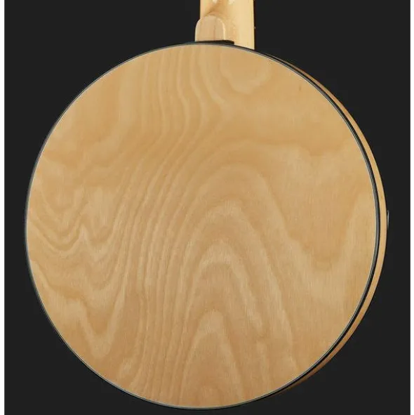 Gold Tone GT-500 6 String Banjitar