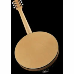 Gold Tone GT-500 6 String Banjitar