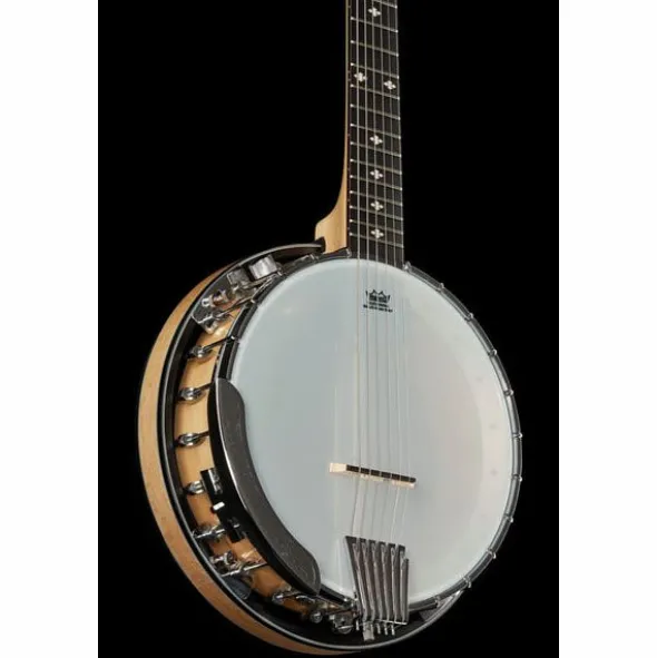 Gold Tone GT-500 6 String Banjitar