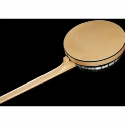 Gold Tone GT-500 6 String Banjitar