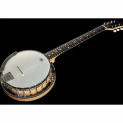 Gold Tone GT-500 6 String Banjitar